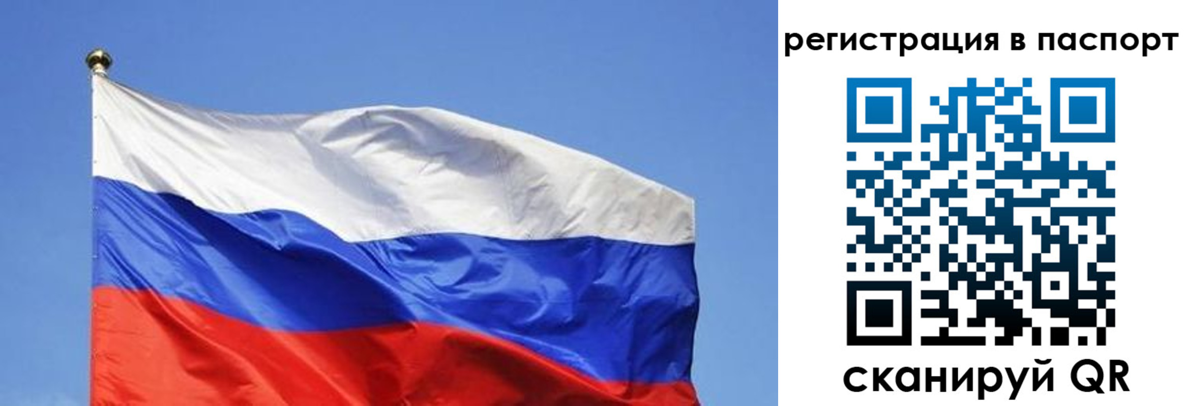 прописка в квартире в Долгопрудном